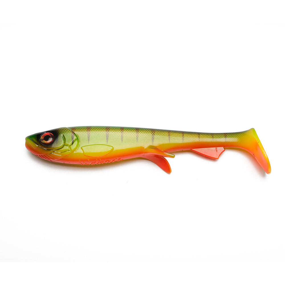 Wolfcreek Shad