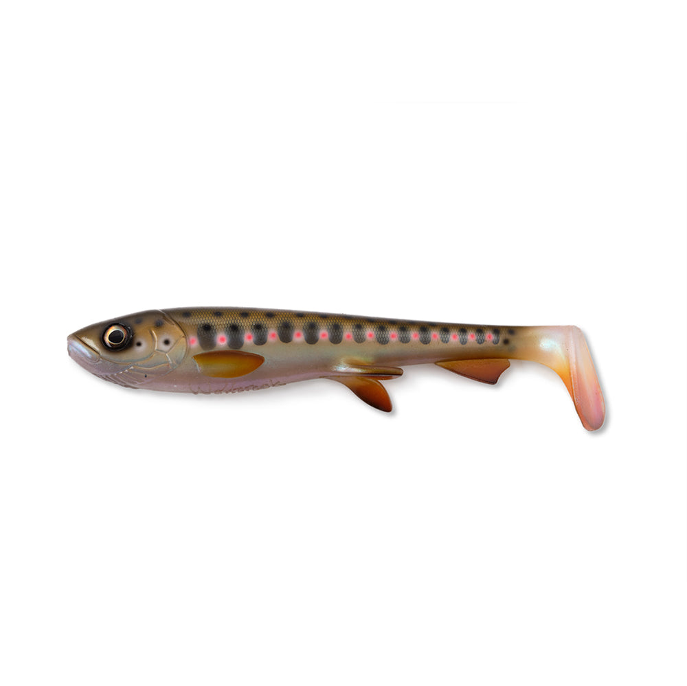 Wolfcreek Shad