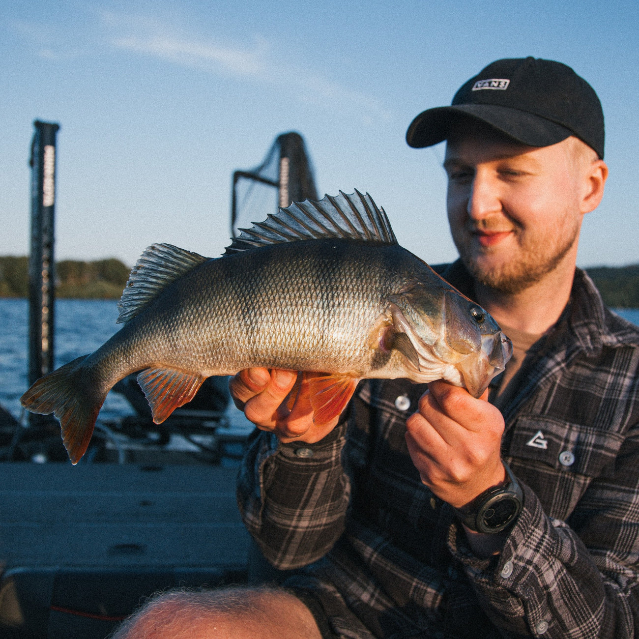 Aborre - Justfishing Starter Kit
