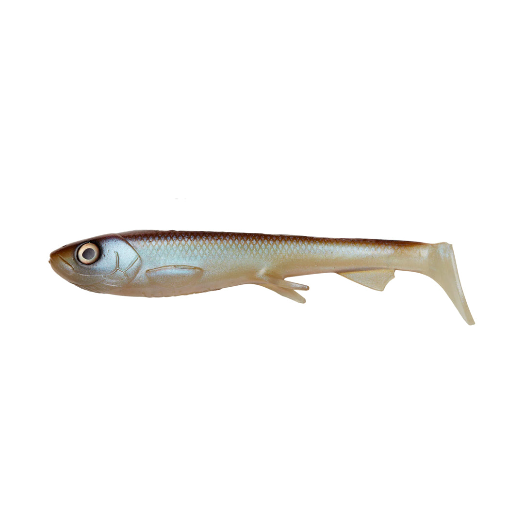 Wolfcreek Shad