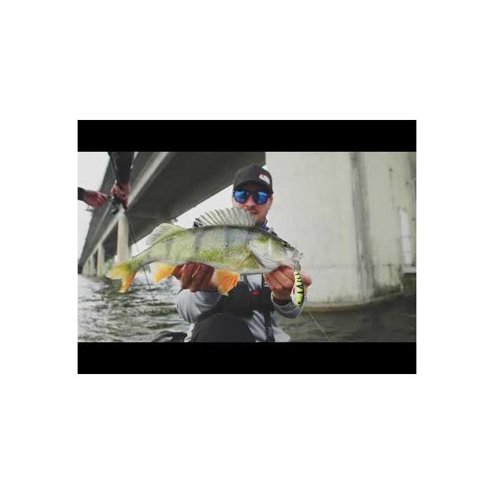 Abu Garcia Spike Pro Tech Rig Spinning