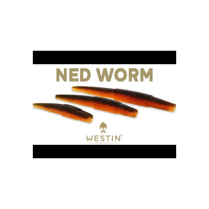 Westin Ned Worm