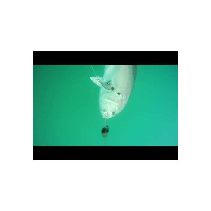 Westin Escape Cam