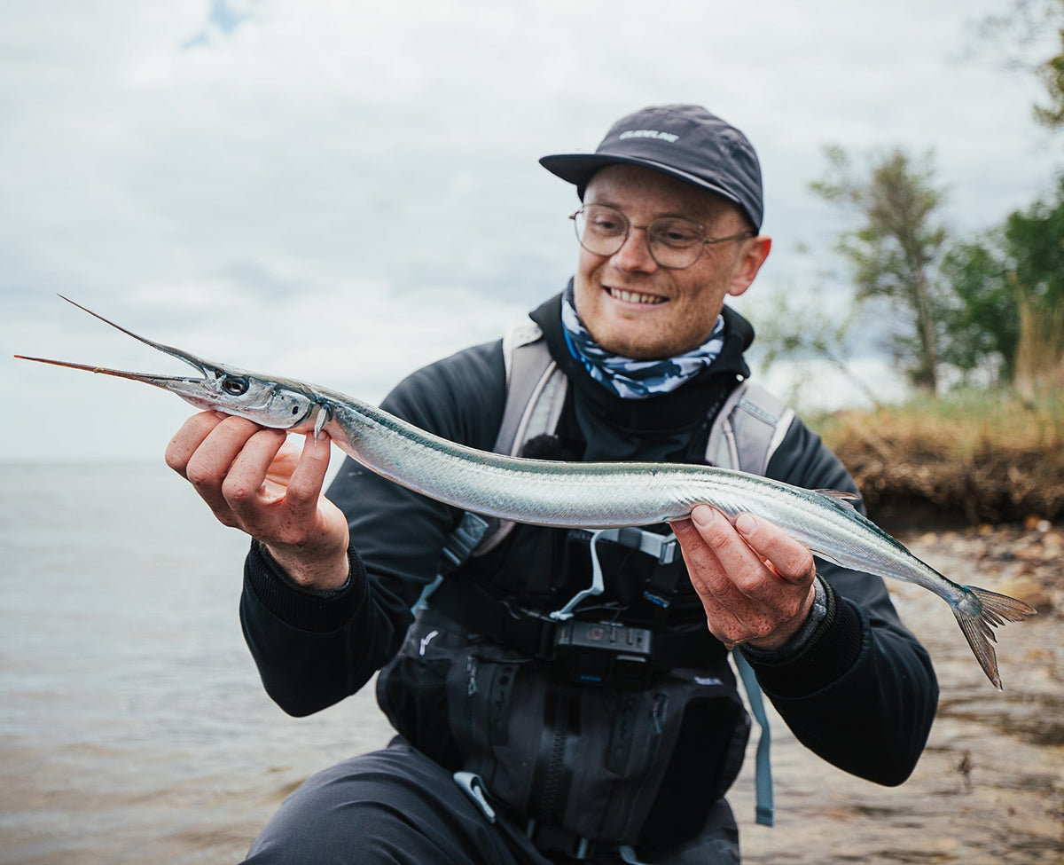 Fang en hornfisk