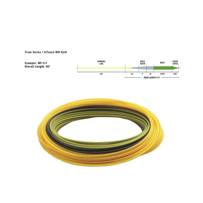 RIO Intouch Gold WF Line #8