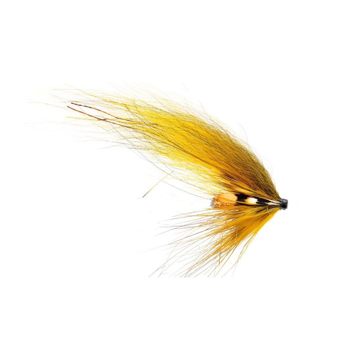 Banana Fly