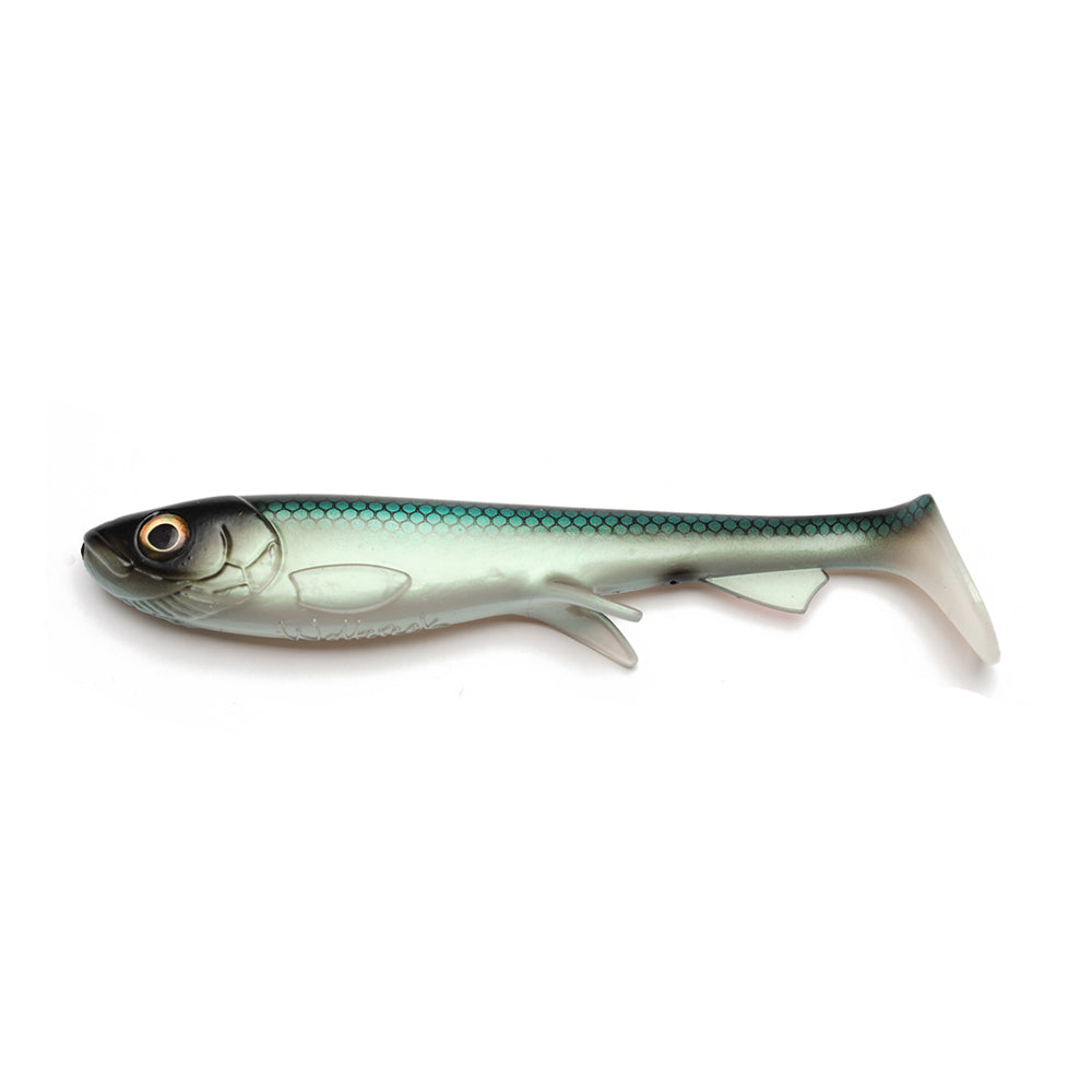 Wolfcreek Shad