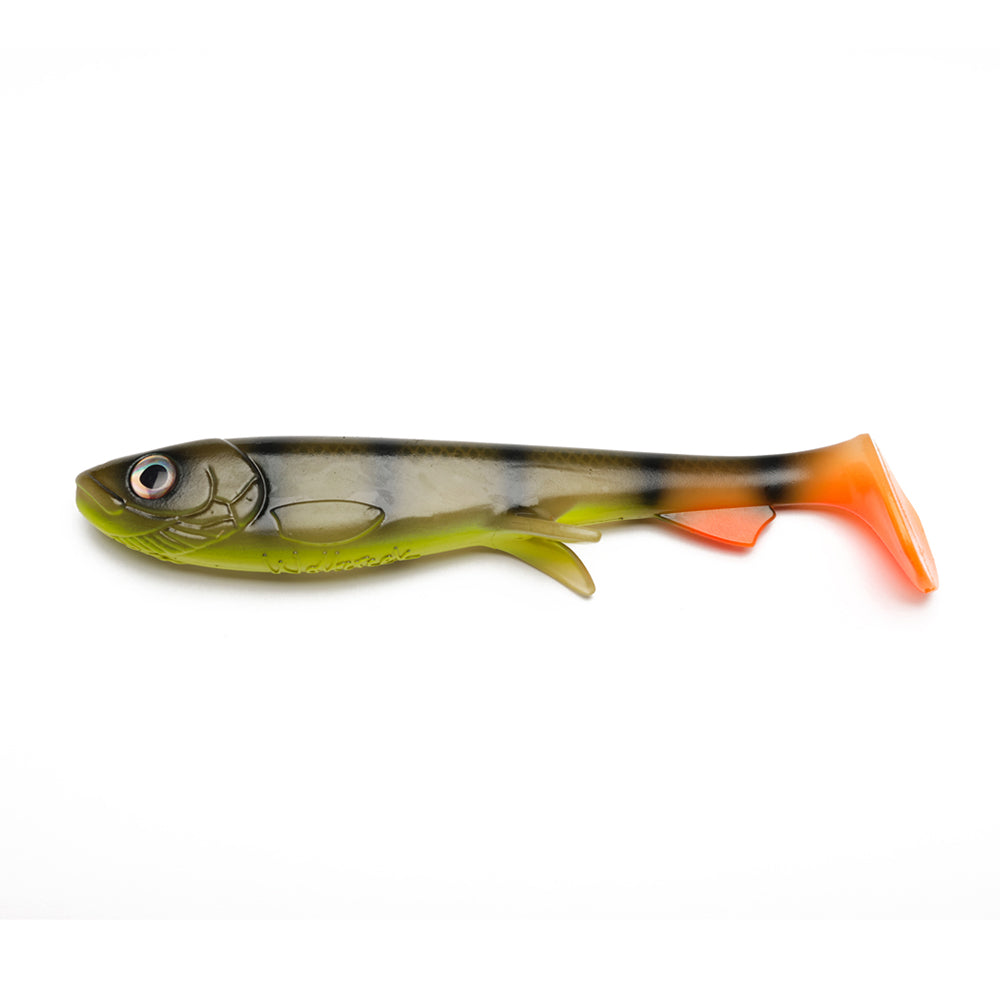 Wolfcreek Shad