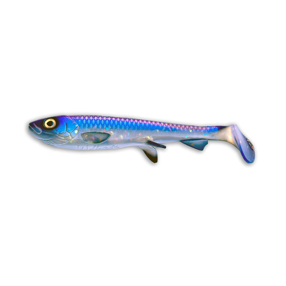Wolfcreek Shad