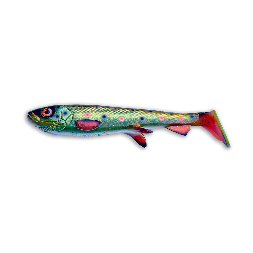 Wolfcreek Shad