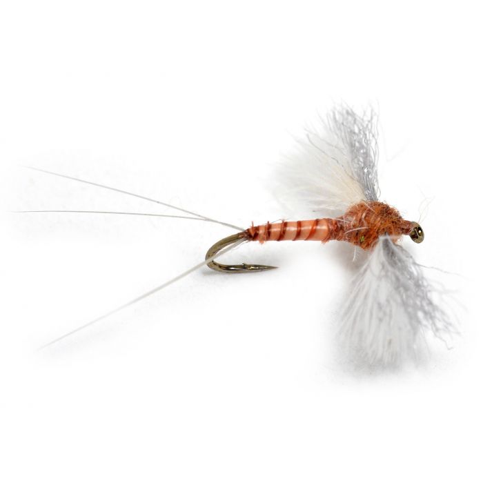 CDC Biot Spinner Rusty #12