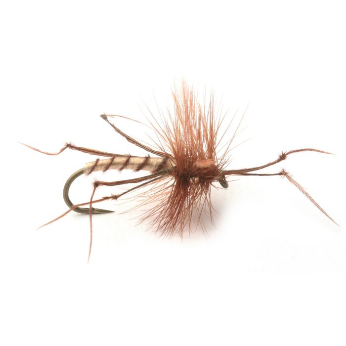 Daddy Long Legs #10