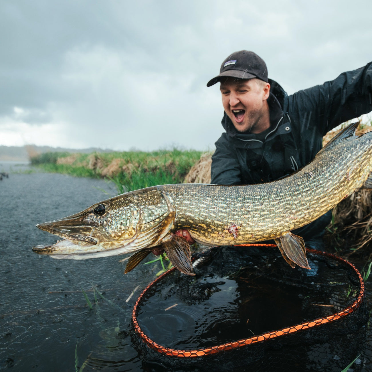 Stor gedde fanget under geddefiskeri – Justfishing Starter Kit Gedde