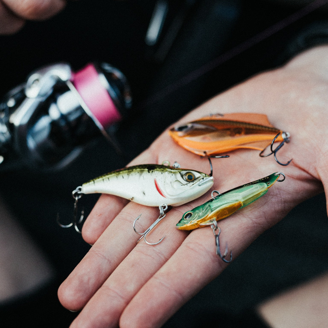 Aborre - Justfishing Starter Kit