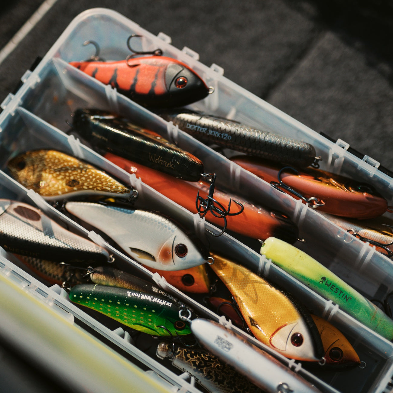 Gedde - Justfishing Starter Kit