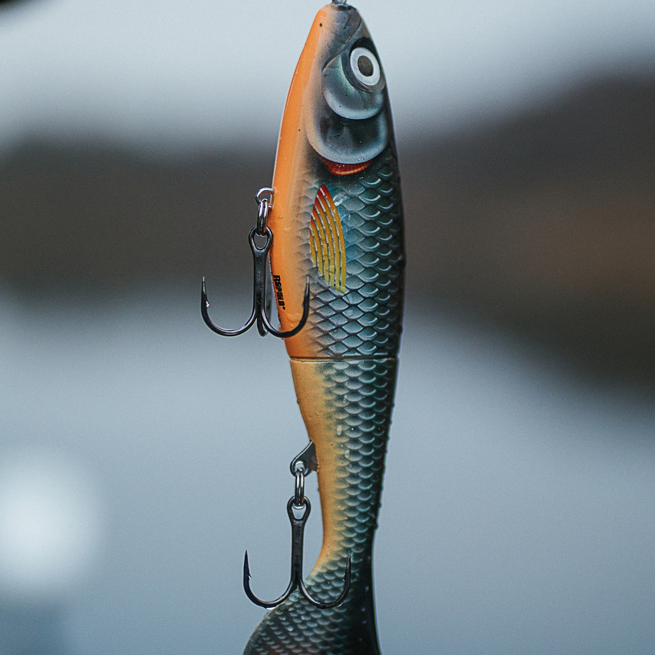 Gedde - Justfishing Starter Kit