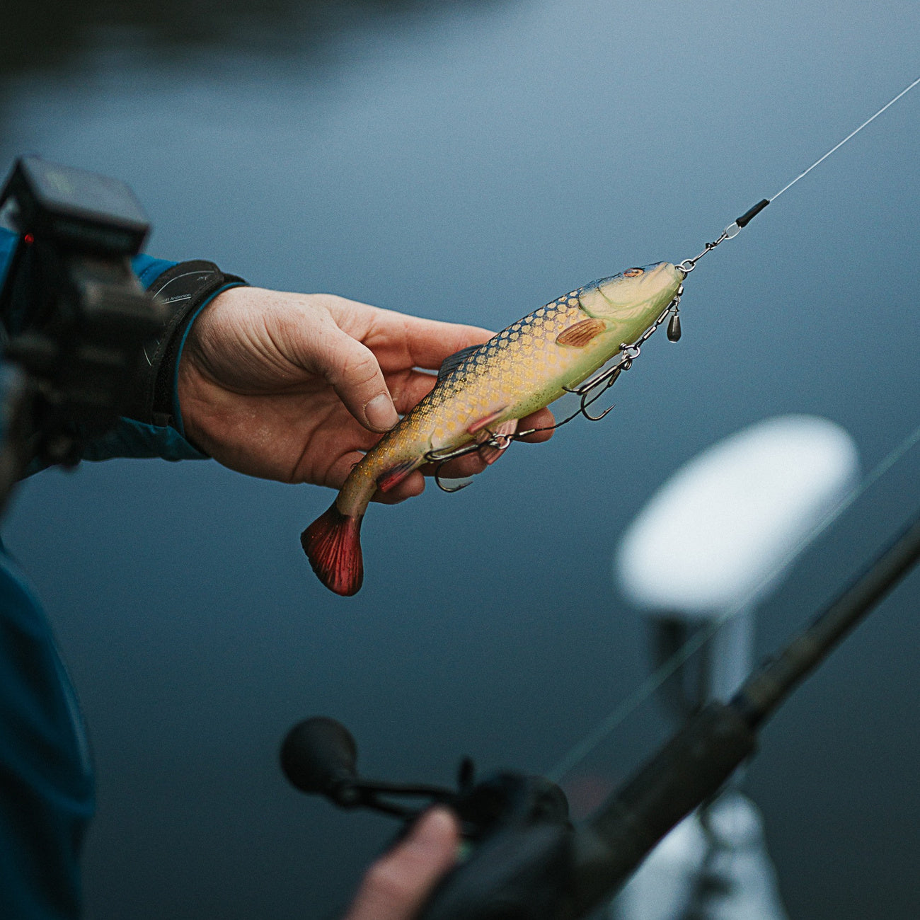 Gedde - Justfishing Starter Kit
