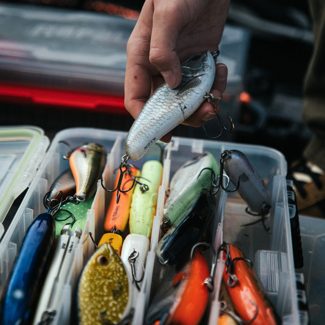 Gedde - Justfishing Starter Kit