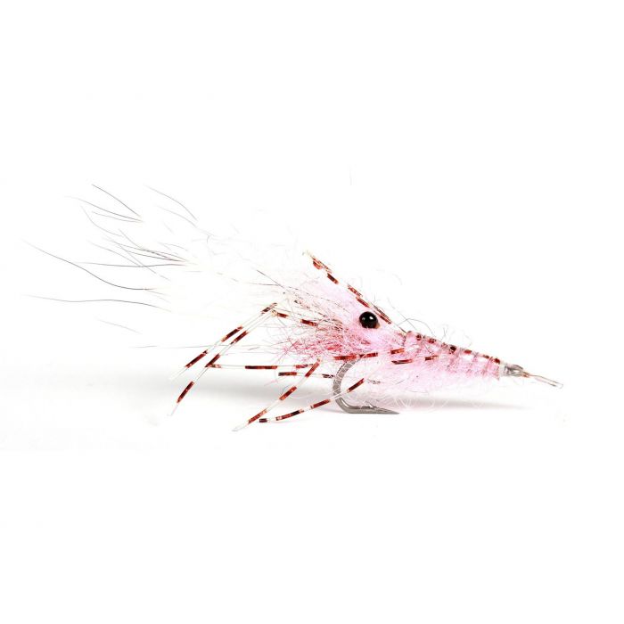 Leoshrimp Pink #6