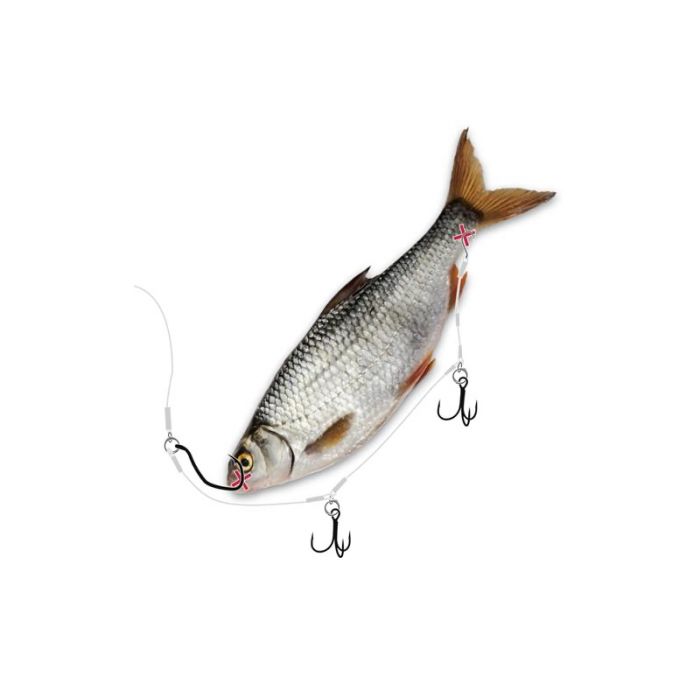 Quantum Mr. Pike Ghost Bait Release Rig