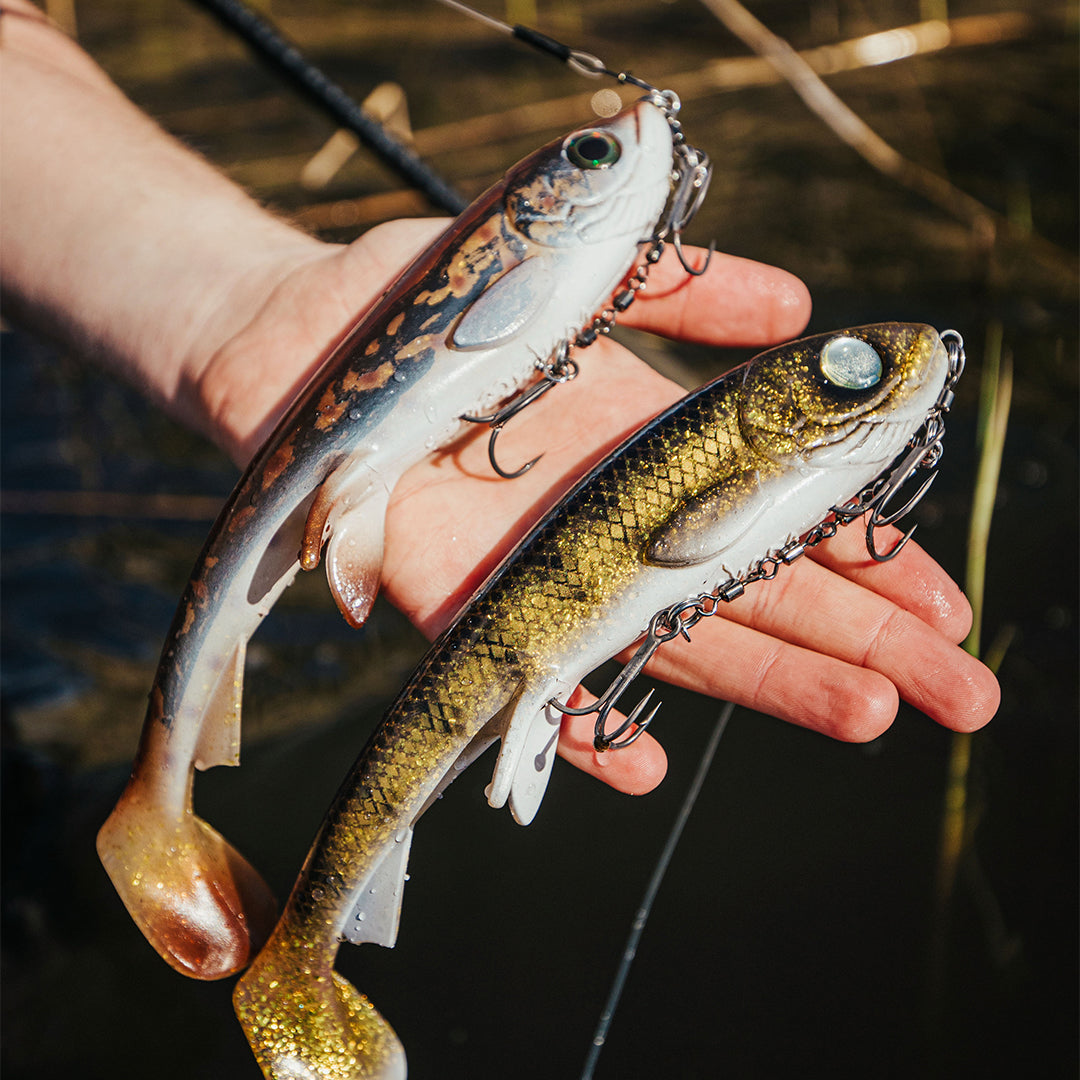 Wolfcreek Shad