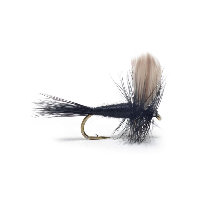 Black Gnat #12