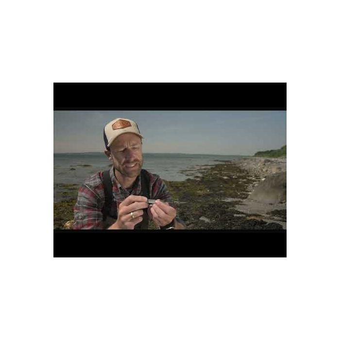 ABU Garcia Sölv Rull