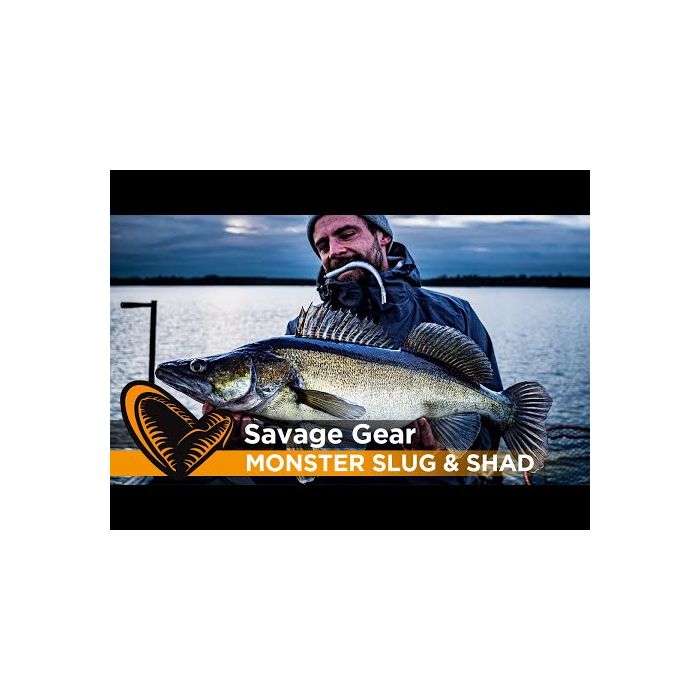 Shimano Nasci FD