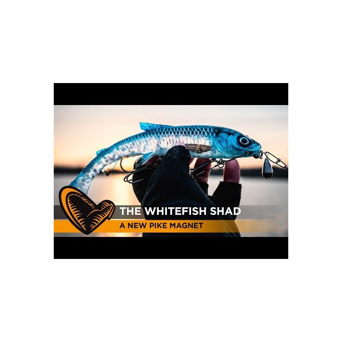 Savage Gear 3D Whitefish Shad