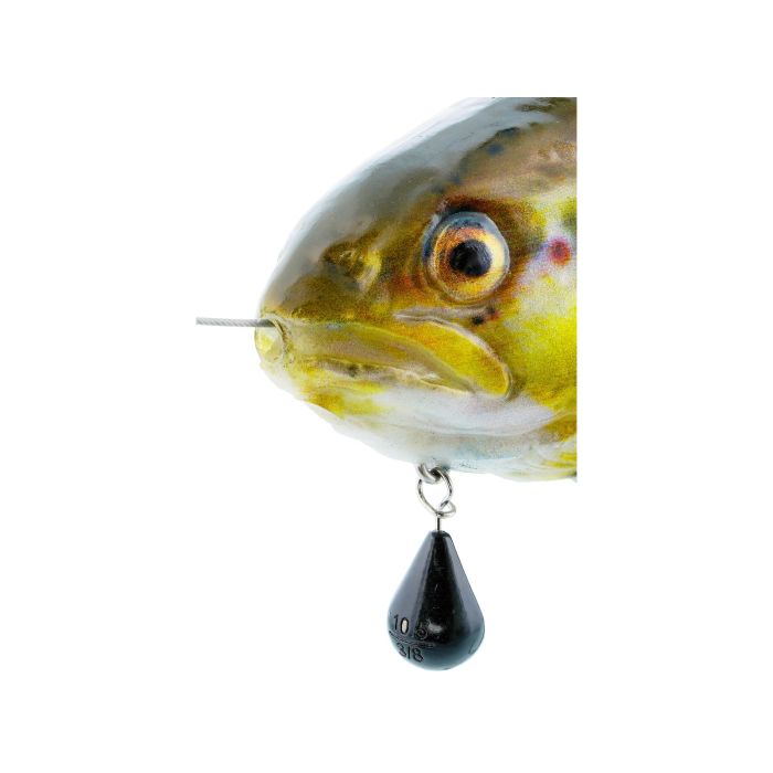 Westin Tommy The Trout Inline