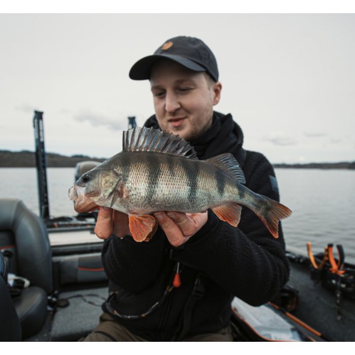 Justfishing Mystery Bag 1# - Aborre