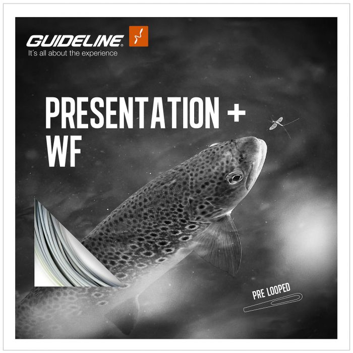 Guideline Presentation+ WF Floating