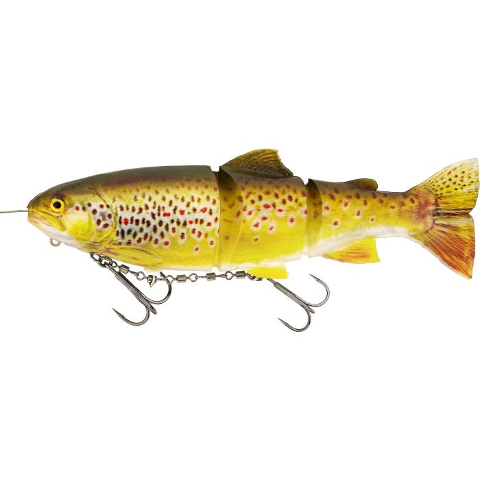 Westin Tommy The Trout Inline