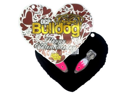 Bulldog Valentines Day 2023